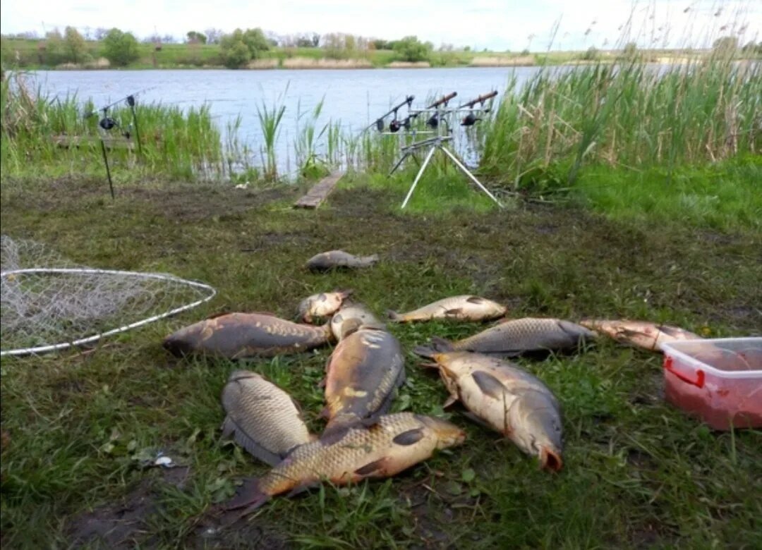 Яндекс картинки