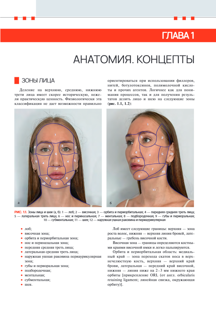 Книга «Лицо и шея. Практическая анатомия для косметологов»