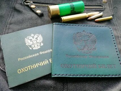 Как получить охотничий билет в России в 2026 году: порядок оформления и экзамен