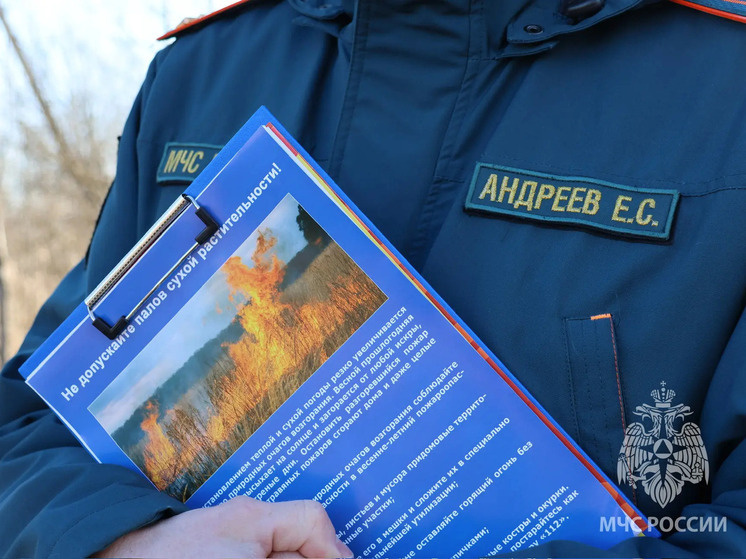     Инспекторы напомнили, что сжигать мусор можно в яме глубиной не менее 30 сантиметров и диаметром не более 1 метра. Фото: пресс-служба МЧС по Новгородской области