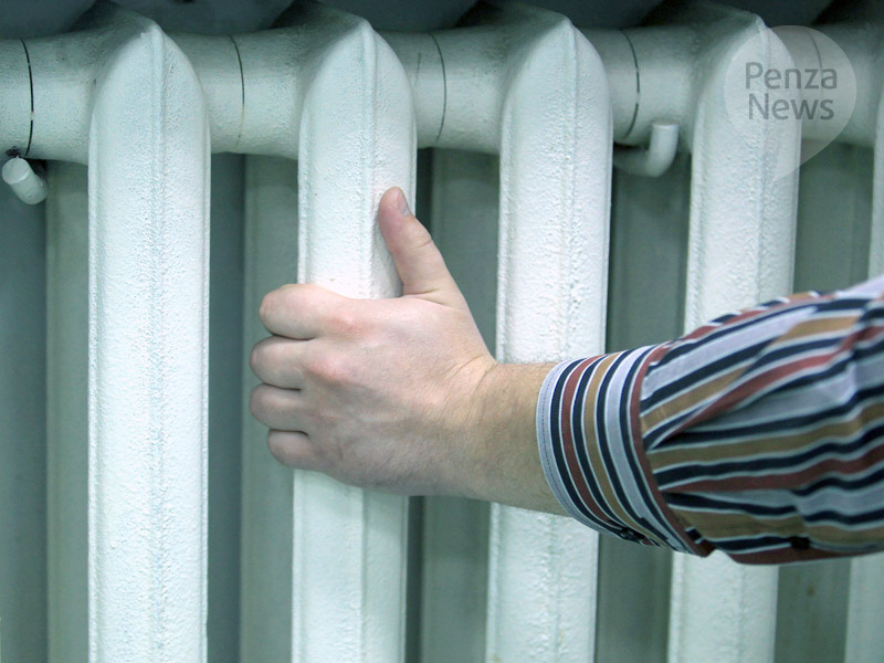    © Фото из архива ИА «PenzaNews»