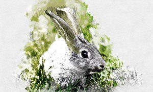 Изображение от freepik  📷
