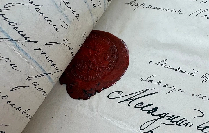 Фото: Тульская служба новостей