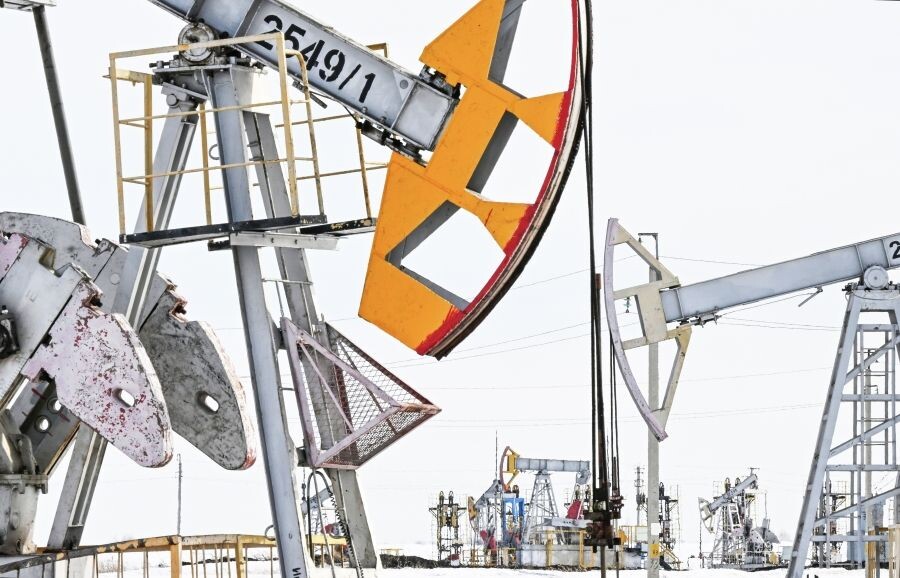     / Источник: © Максим Богодвид/РИА Новости