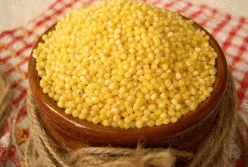 Пшённая каша: забытый продукт, который стоит вернуть на стол