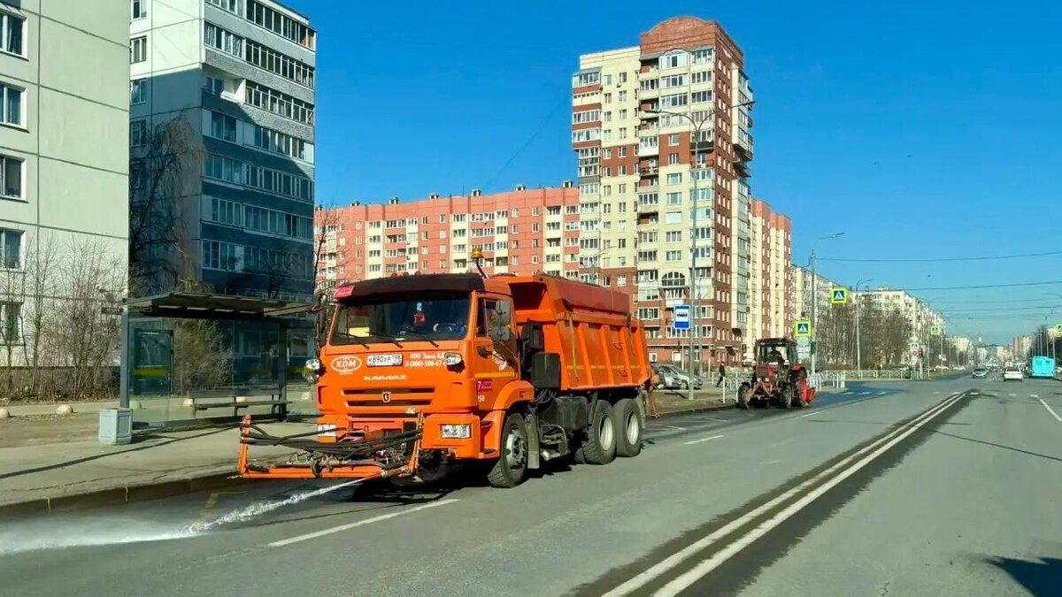    Фото: пресс-служба комитета по благоустройству Санкт-Петербурга