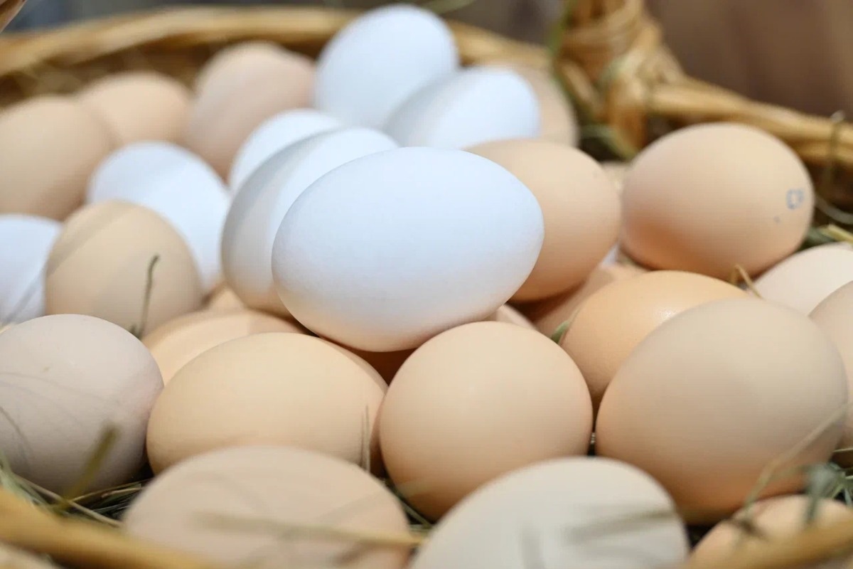    Фото: Анастасия Сибирякова