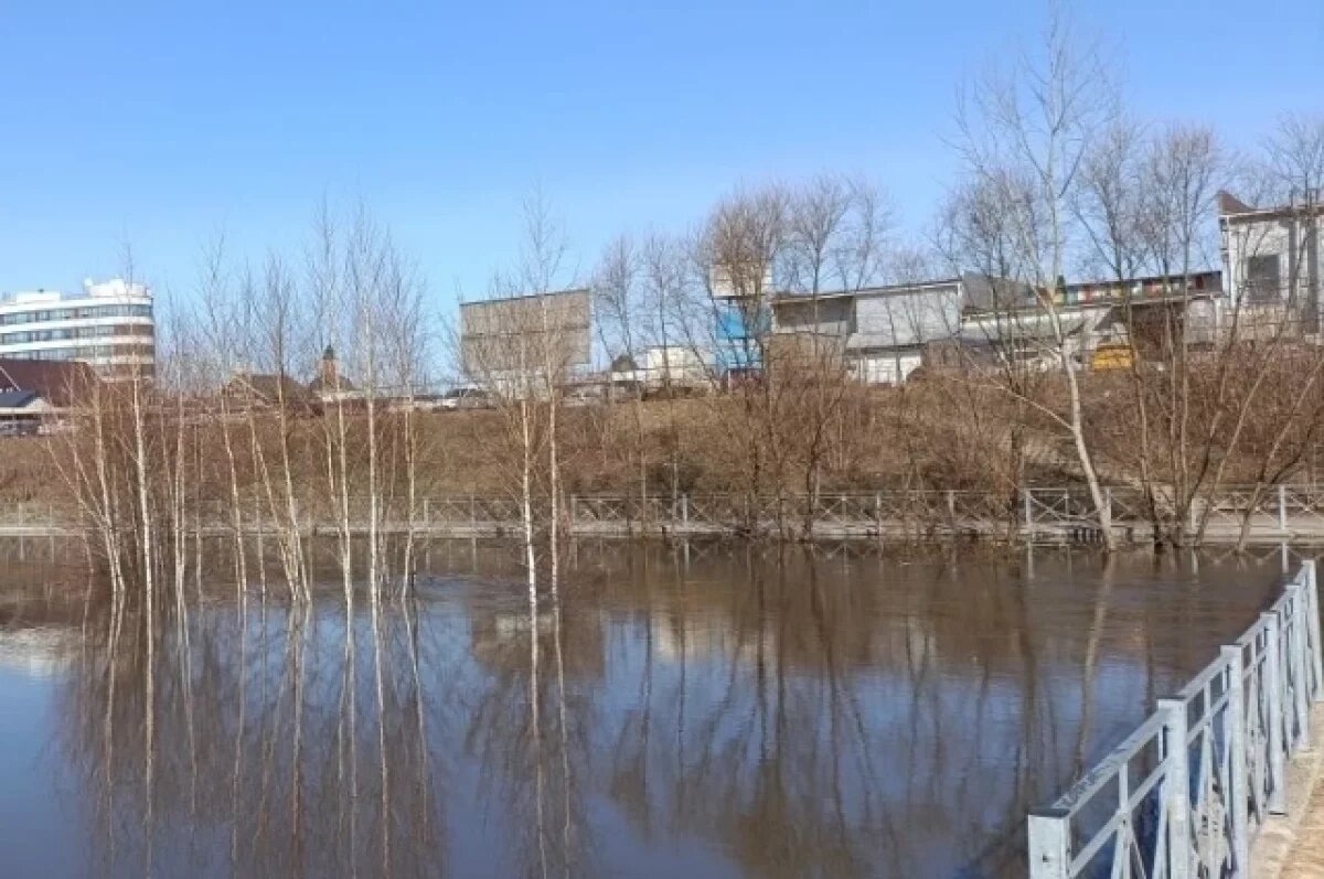    Пик весеннего половодья в Тульской области ожидается с 1 по 3 апреля