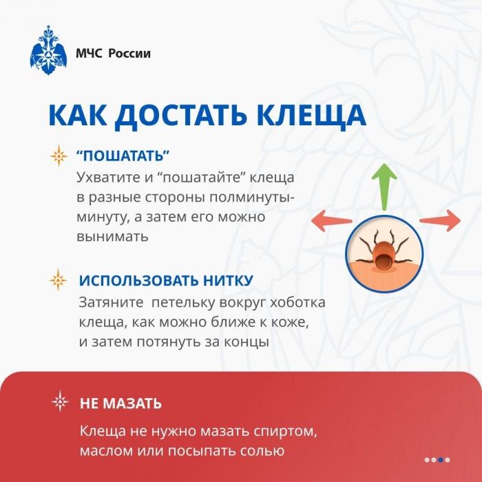 Как защититься от клеща
Фото: пресс-служба МЧС России