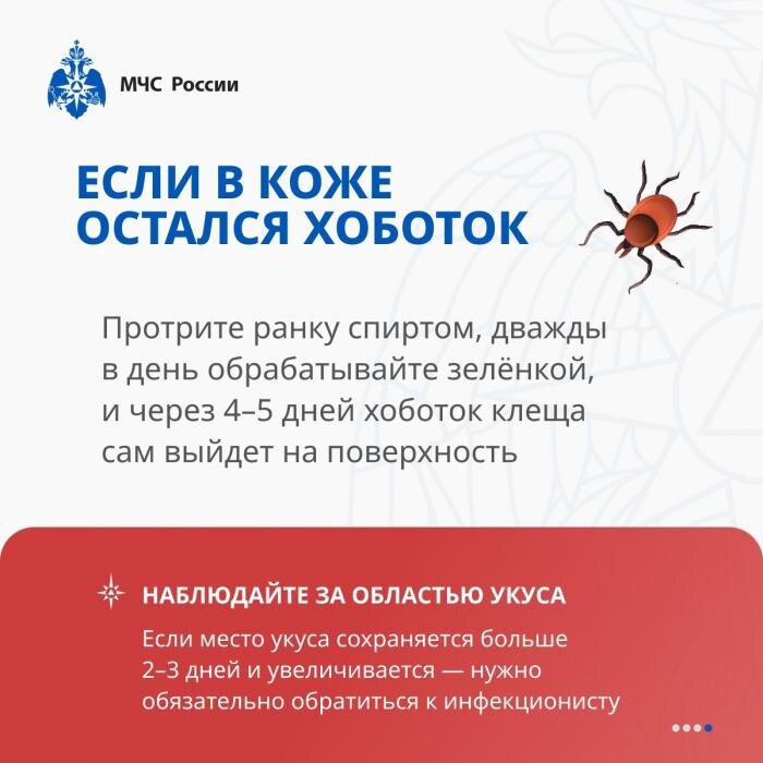 Как защититься от клеща
Фото: пресс-служба МЧС России