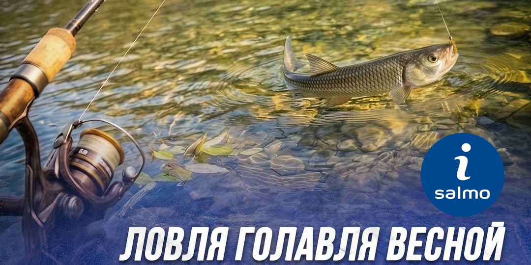 Ловля голавля весной, что нужно знать