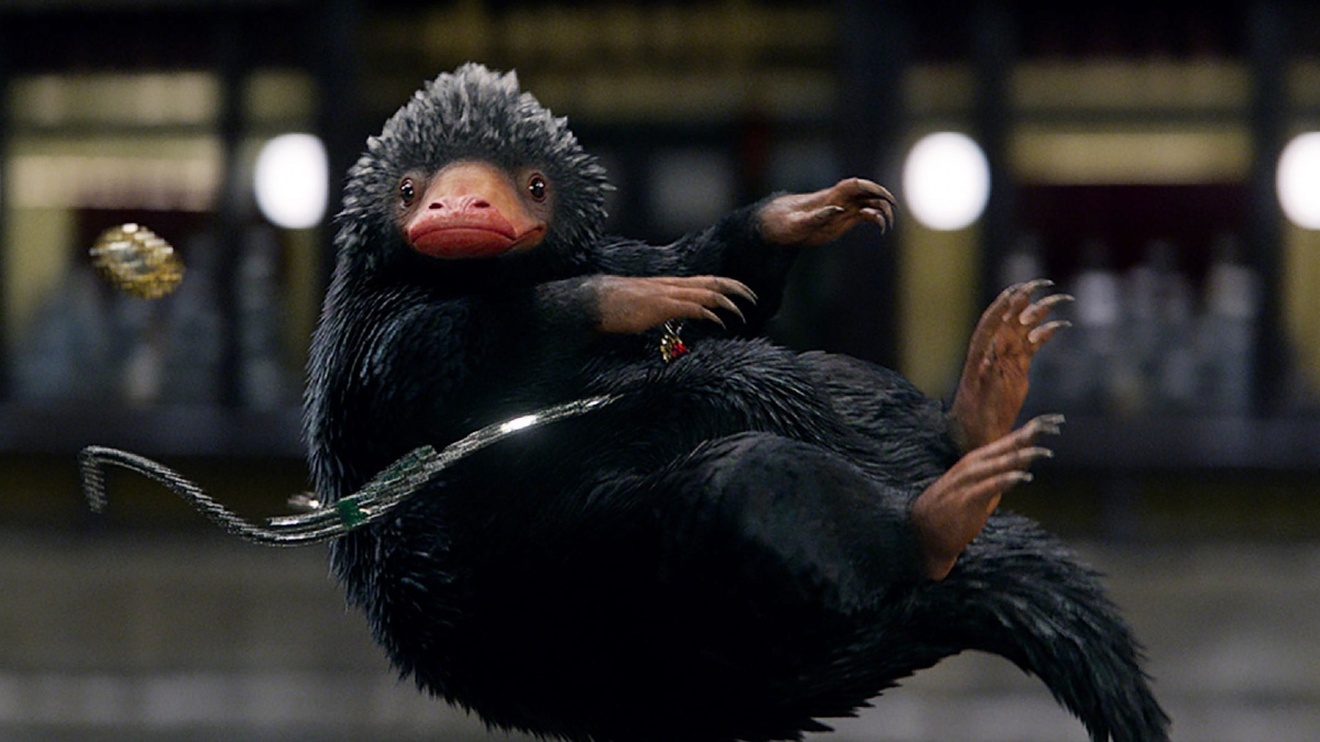 Почему нюхлер — худший питомец из Гарри Поттера. Фото: кадр из фильма "Фантастические твари и где они обитают".