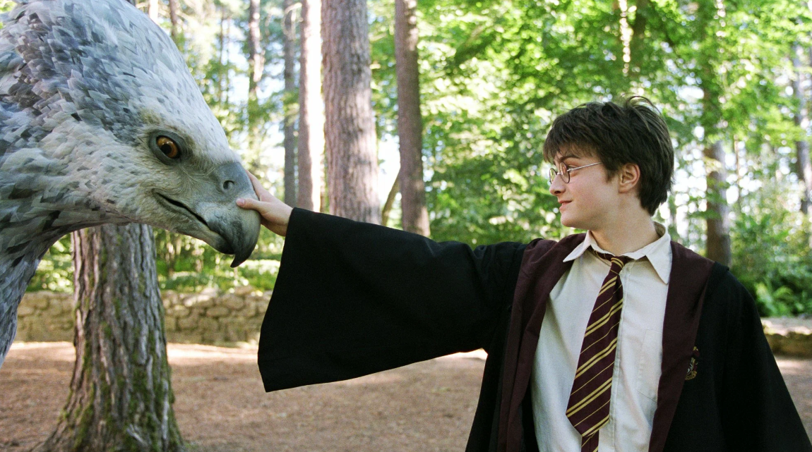 Птица из Гарри Поттера, которой нужно кланяться - гиппогриф. Фото: кадр из фильма «Гарри Поттер и узник Азкабана».