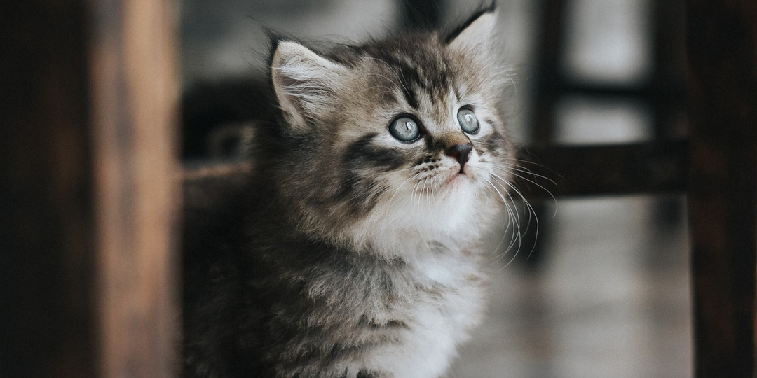 Последний раз вместе