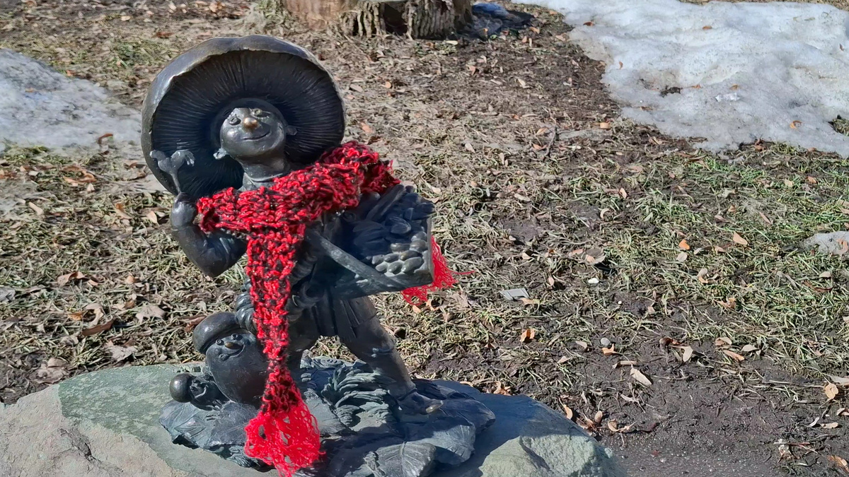 Гриб - рязанский коробейник