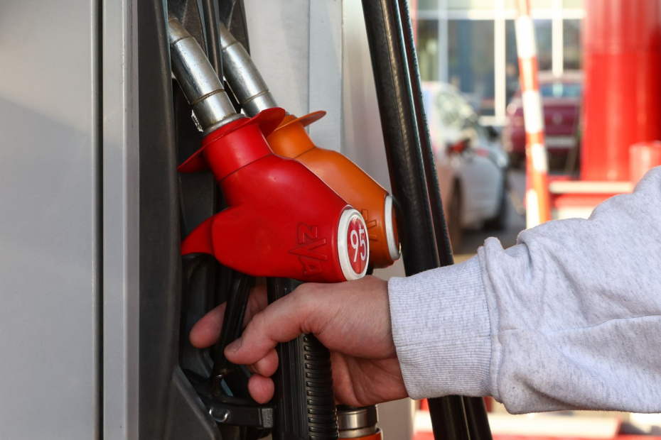    Наталья Шатохина/NEWS.ru