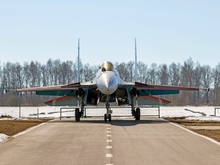     Фото: пресс-служба авиапарка «Орешково».