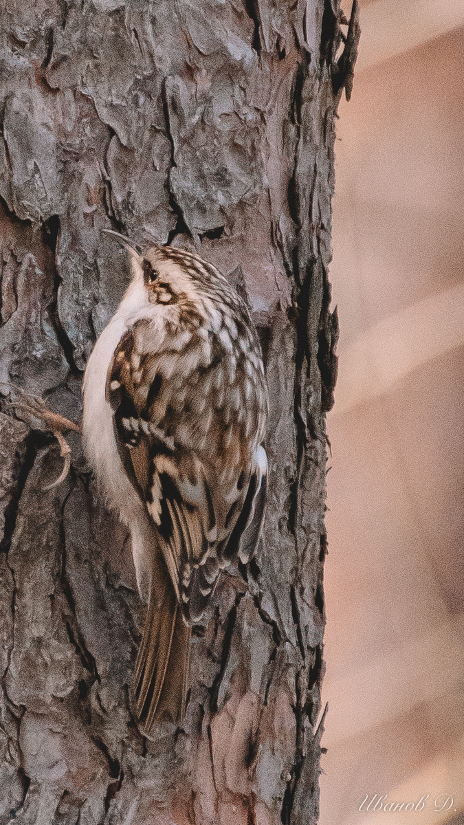 Фото - март 2026