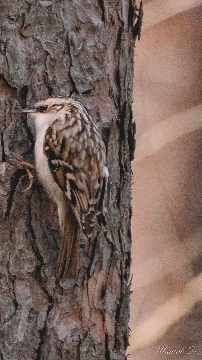 Фото - март 2026