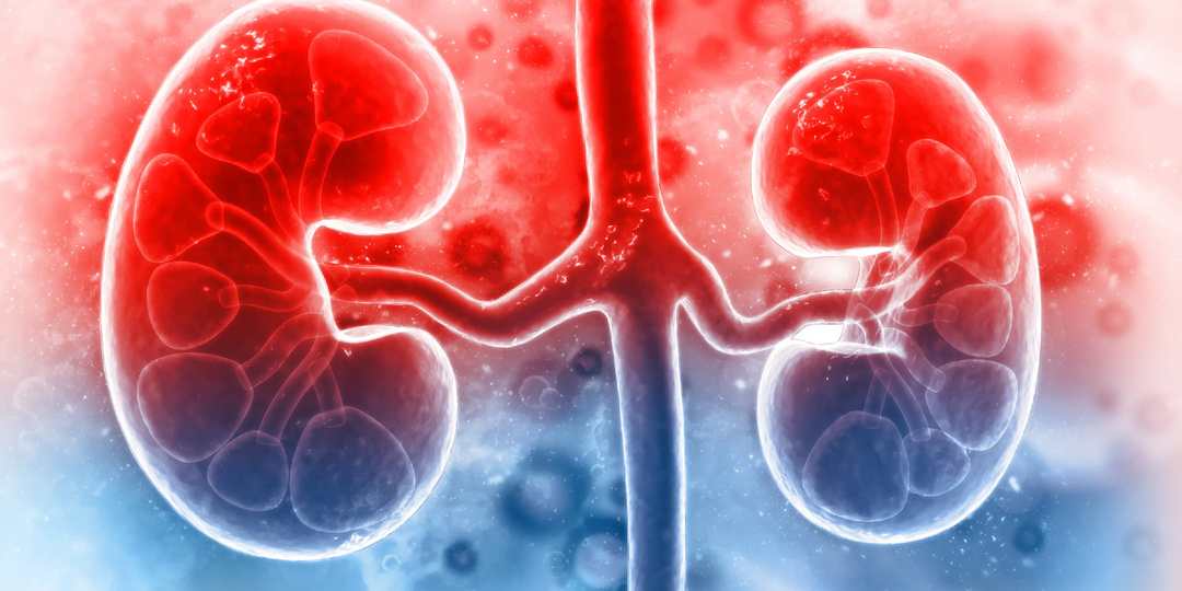 Диагностическая ценность иммуновоспалительных маркеров при диабетической болезни почек у пациентов с сахарным диабетом 2 типа