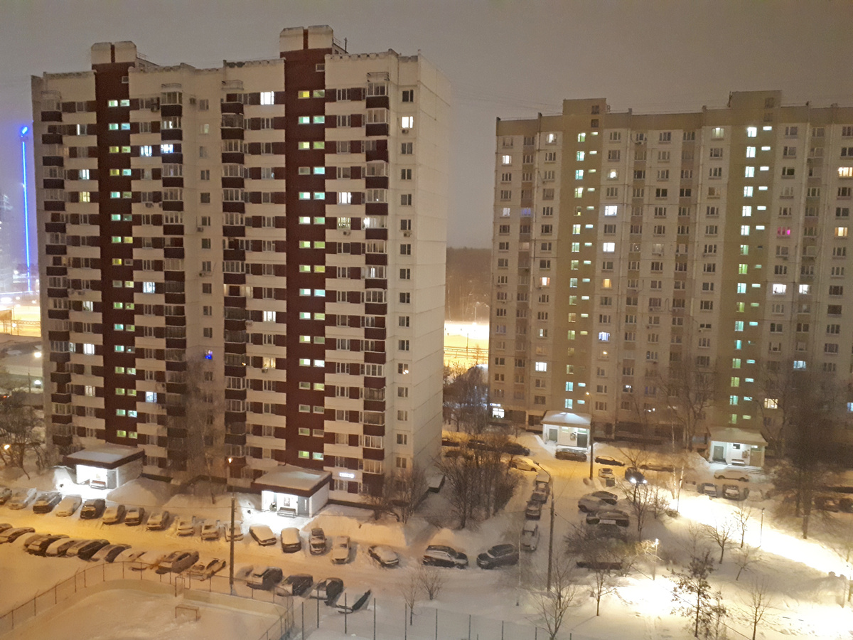 Зима в Новопеределкино, фото автора.