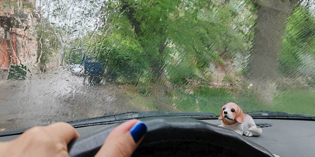 Очередной дождь обещают метеорологи астраханцам 31 марта