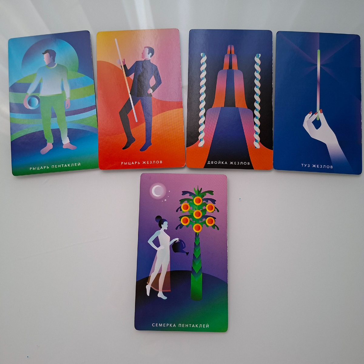 Фото автора Taro box