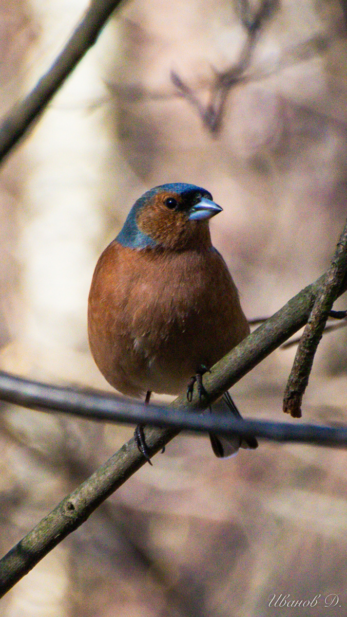 Фото - март 2026