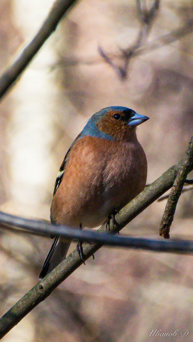 Фото - март 2026