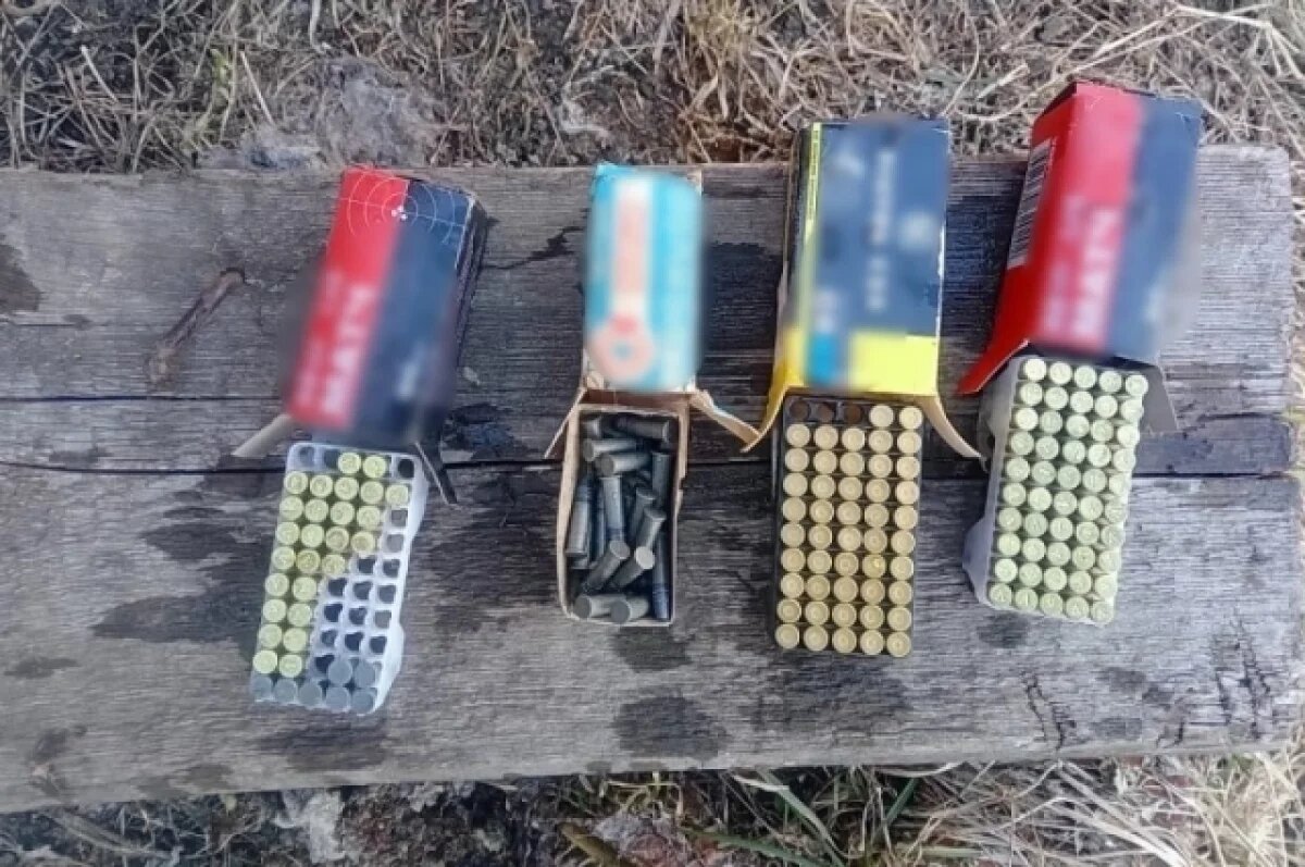    Житель Курганской области пойдёт под суд за изготовление патронов