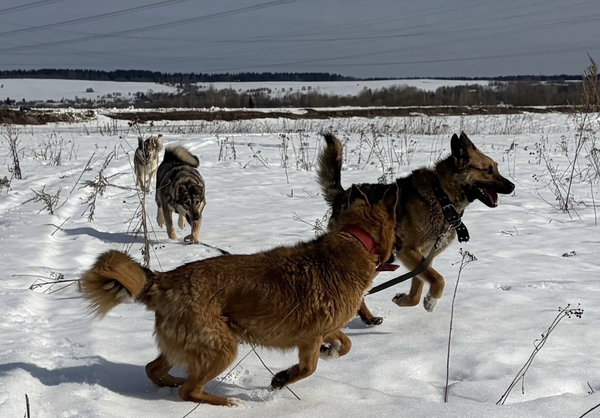 Пусть они будут всегда полны сил и здоровья 🙏🙏🙏