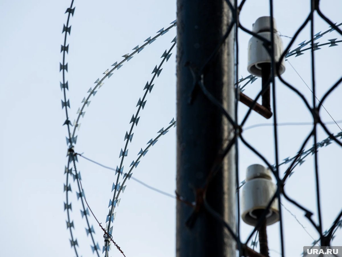     Водитель Peterbilt пытался провезти в ИК-47 оружие (архивное фото)