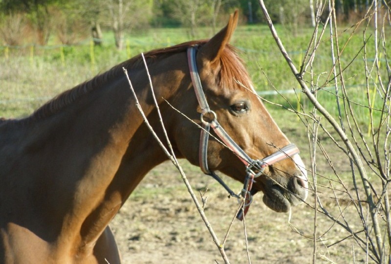 Пойди туда - не знаю куда...Глава 12