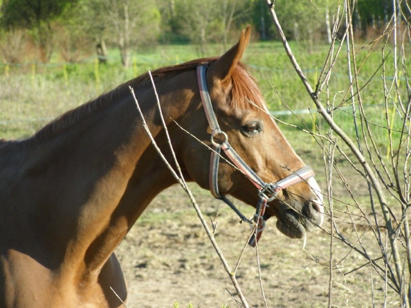 фото из интернета