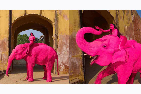 Julia Buruleva/Instagram   📷