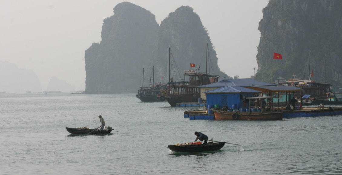    Фото: НИА "Экология"