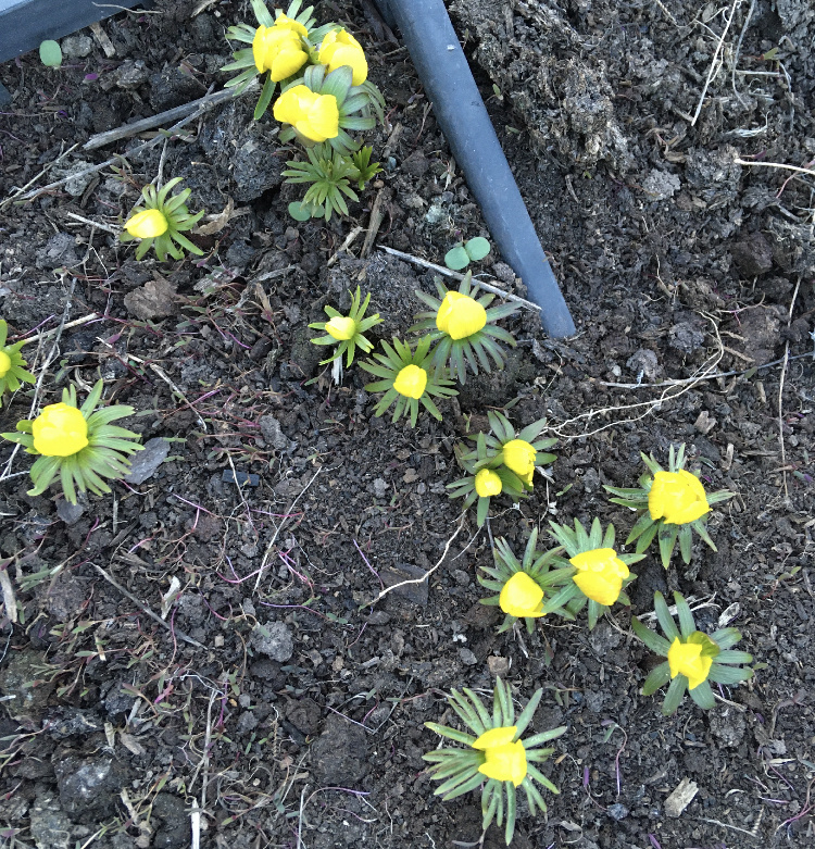 Мои. Давнишние