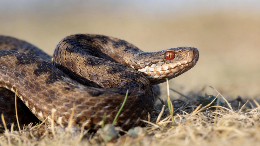    Обложка © Shutterstock / FOTODOM / JASON STEEL