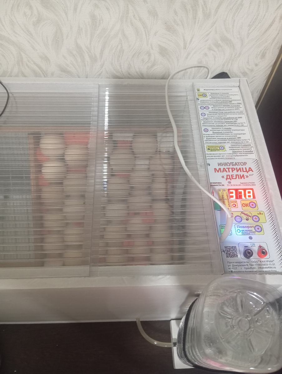 Инкубатор. 