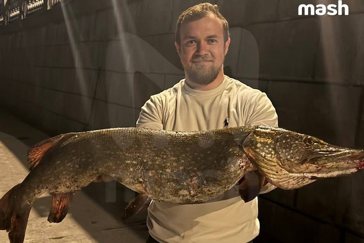    Фото: Telegram-канал «Mash»