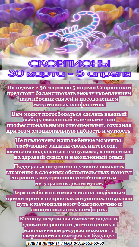 картинка принадлежит автору канала