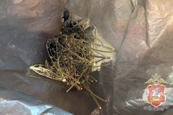 Telegram-канал Подмосковная полиция  📷