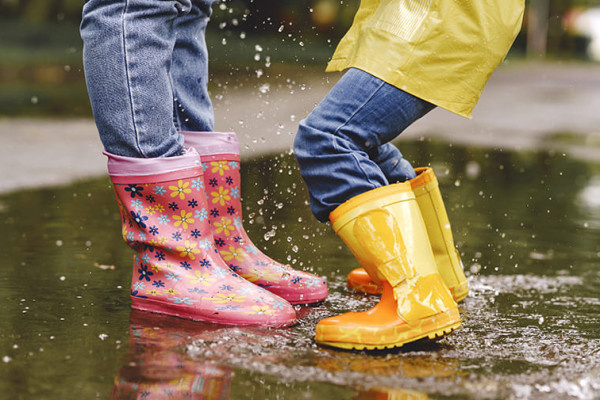 Дожди правят баллом