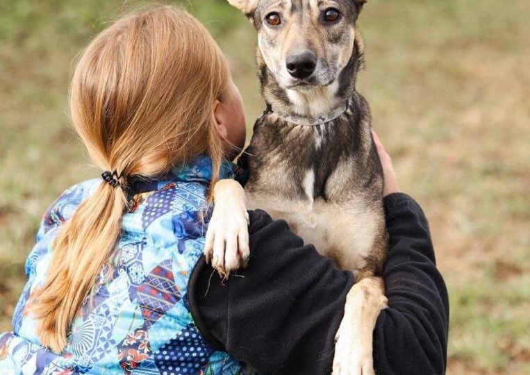Ушастое счастье: дважды преданная Лаймочка.