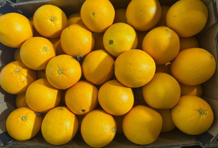 Более 48 тонн марокканских апельсинов и лимонов не пустили в Петербург