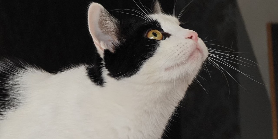 А ещё мои хорошие, надоела эта беготня по каналам