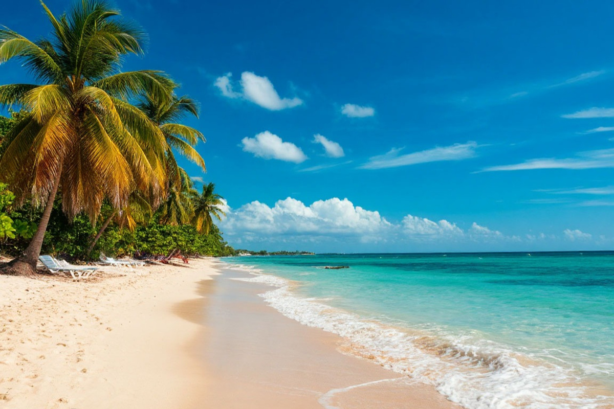    Фото: коллаж RuNews24.ru