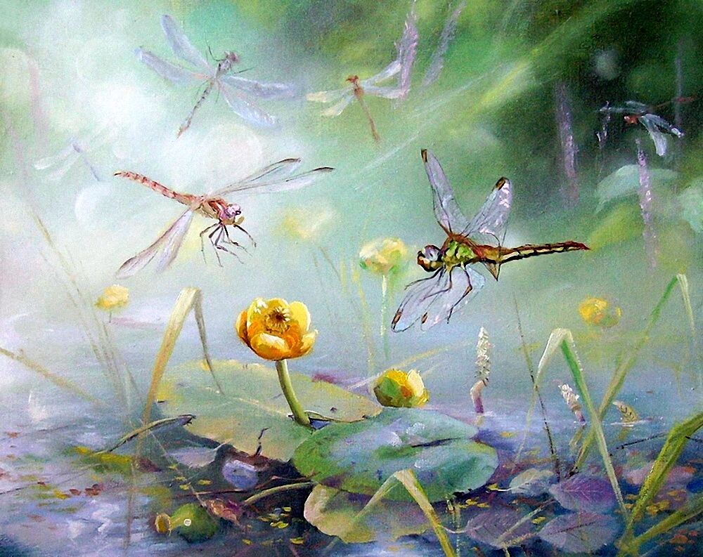  � ��������� ��������. �������� � ��������. �����, �����.