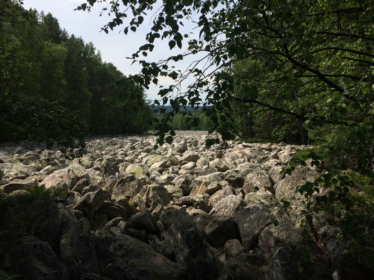 Каменная река в нескольких местах пересекает туристические тропы, поэтому в дождь ходить на Таганае очень скользко. Фото: Вера Безлепко