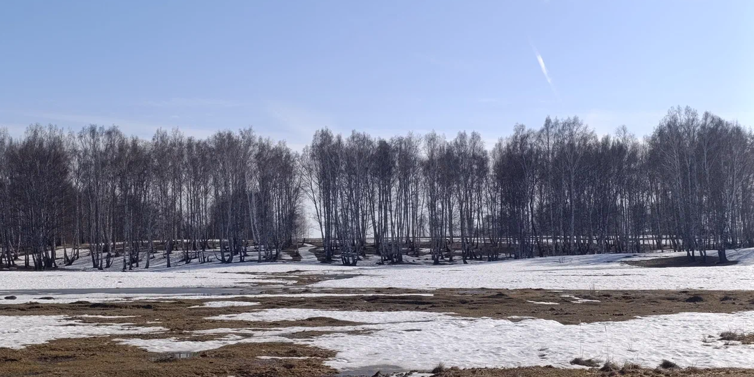 Не читать газеты с утра